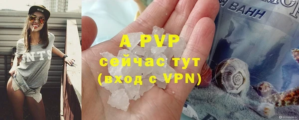 крисы Арсеньев