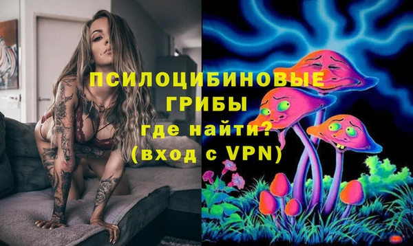 ГАЛЛЮЦИНОГЕННЫЕ ГРИБЫ Аркадак