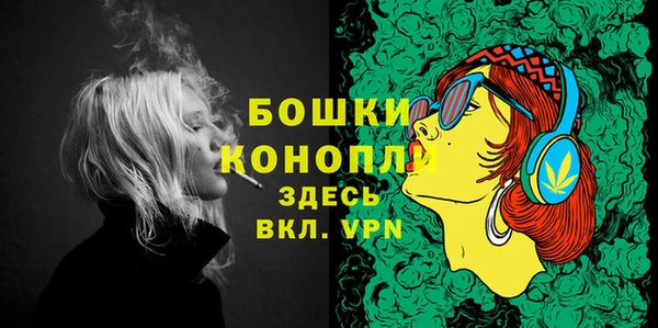 крисы Арсеньев