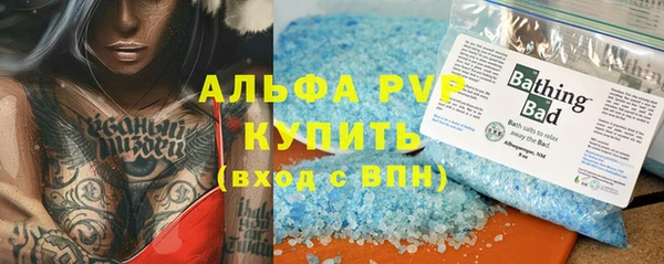 ГАЛЛЮЦИНОГЕННЫЕ ГРИБЫ Аркадак