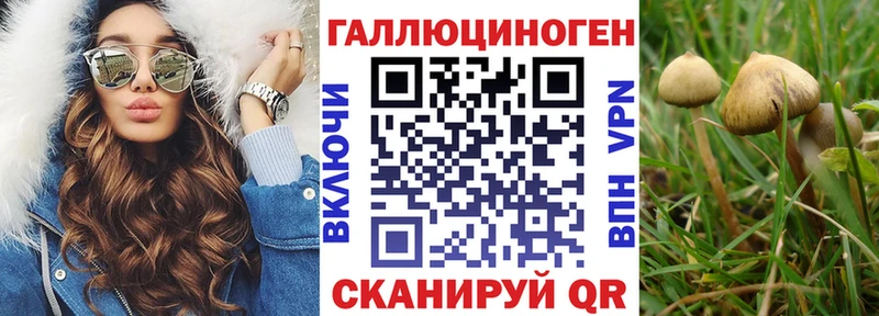 blacksprut ССЫЛКА Верещагино Псилоцибиновые грибы Cubensis